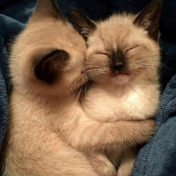 Meet your Posher, Andrea - Picture 1 of 1